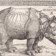 Woodprint of Dürer’s Rhino (1515)